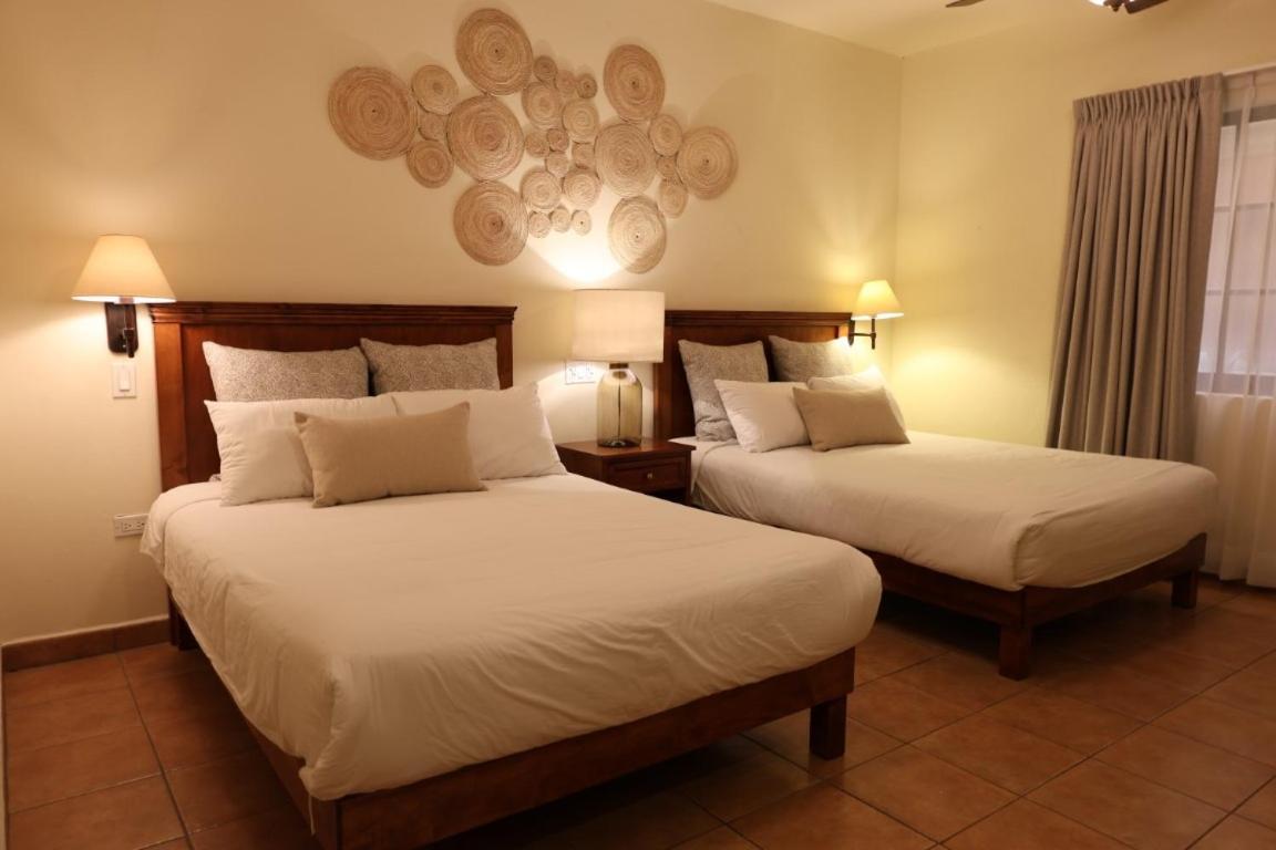 Colli San José del Cabo