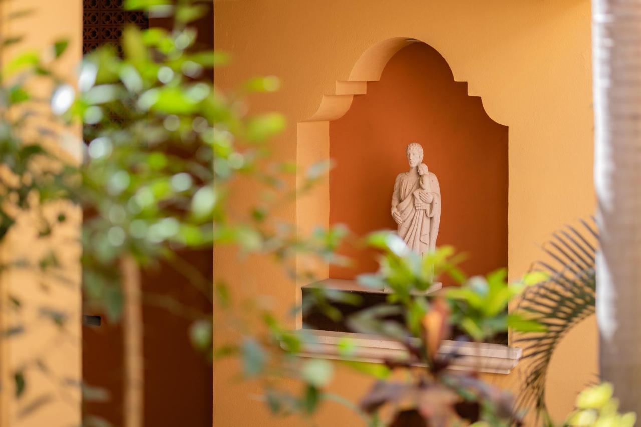 Hotel Colli 3*